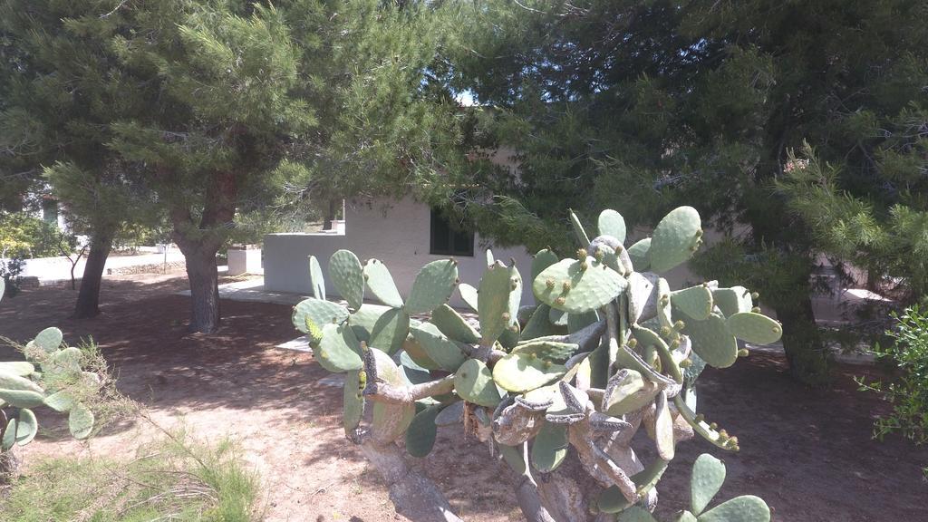 Appartamenti In Villa Senia Favignana Exteriör bild